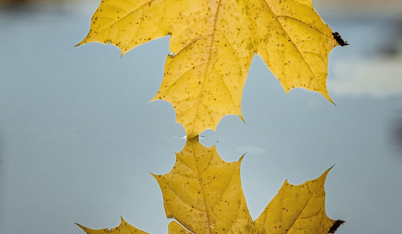 Van Stress naar ontspanning – vind vrijheid in Mindfulness