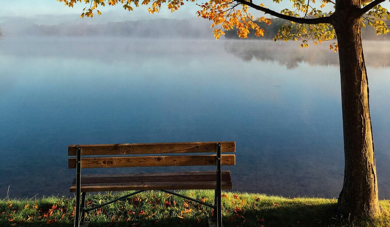 Stop, Drop And Flow: Nervous System Reboot