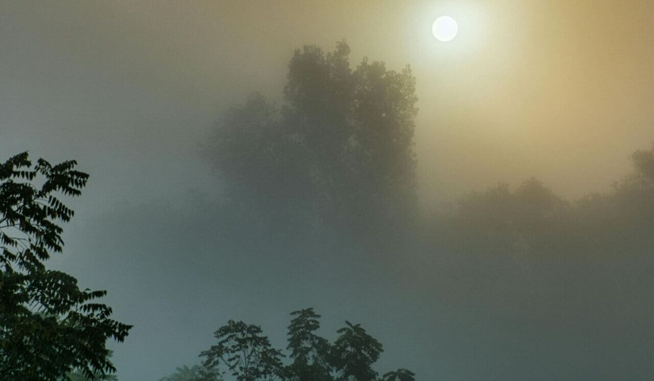 Release Trauma Signals - Confusion