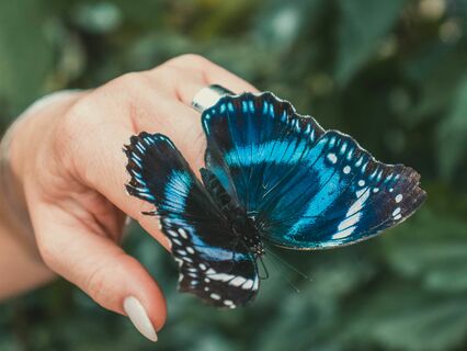 Healing With Your Angels - by Elies Hadi