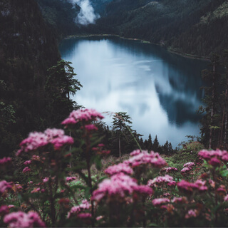 Journey Through Consciousness With Yoga Nidra