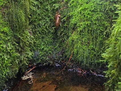 Learning To Trust Yourself Again - by Theresa Hubbard