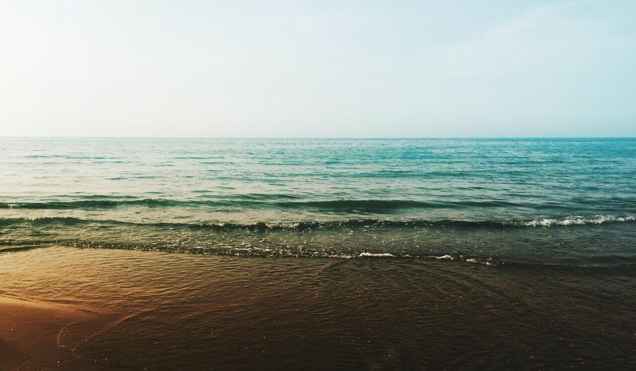 Micro-Dosing Safety - Nervous System Nourishment