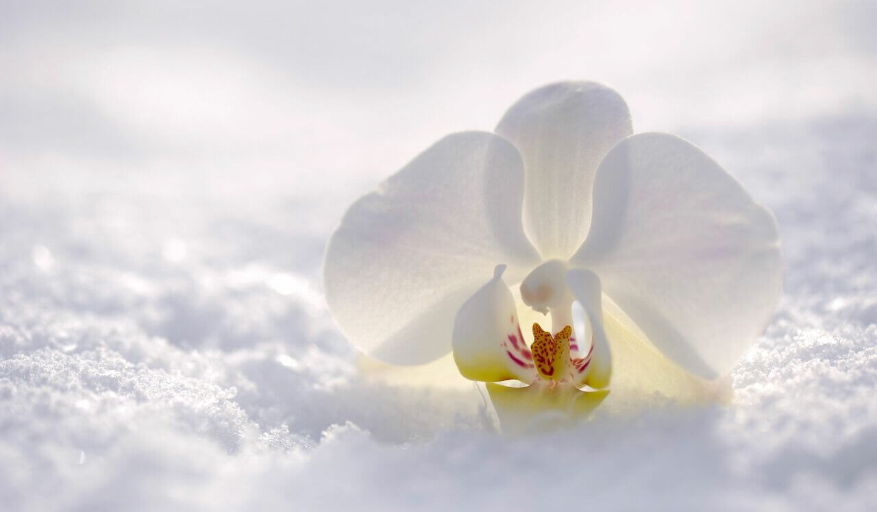 Relax - Refresh - Recharge