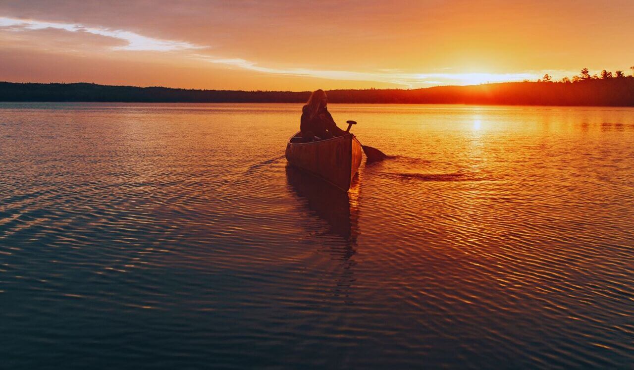 Release Trauma Signals - Creative Insecurity