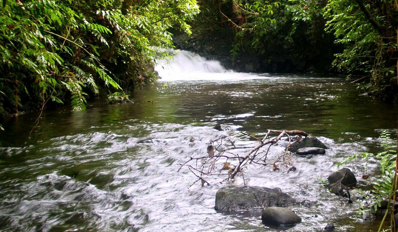 Embrace Ease, Find Flow