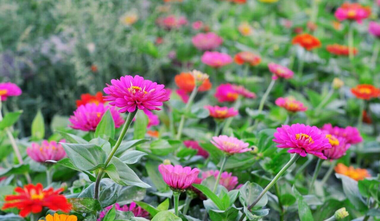 Meditation For Depression