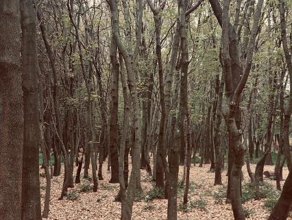 Respirar y soltar: una pausa útil para calmar la mente