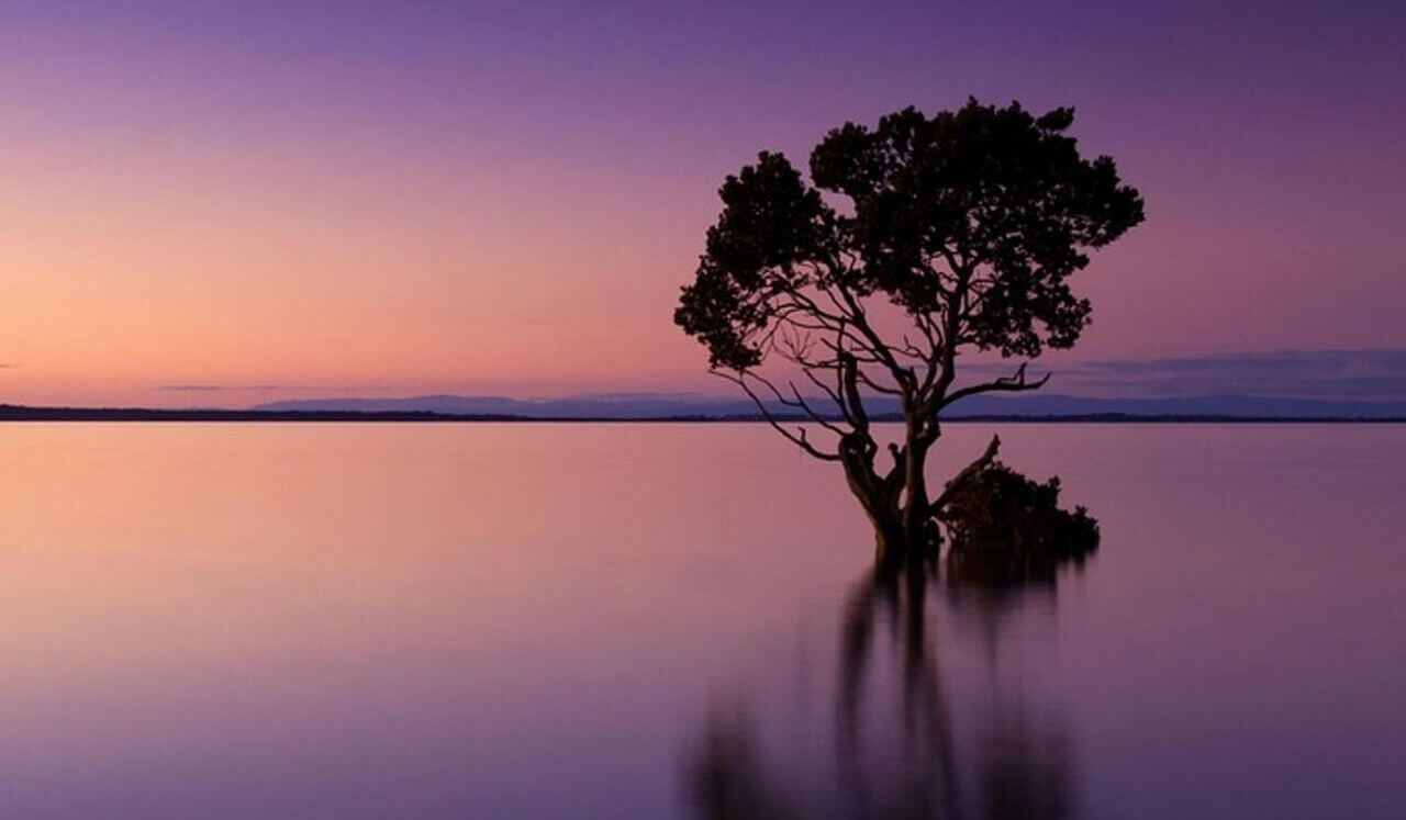 Sacred Union: Remembering Divine Love In The Body