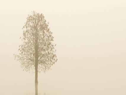 Meditation 1 – Ankommen und Entspannen