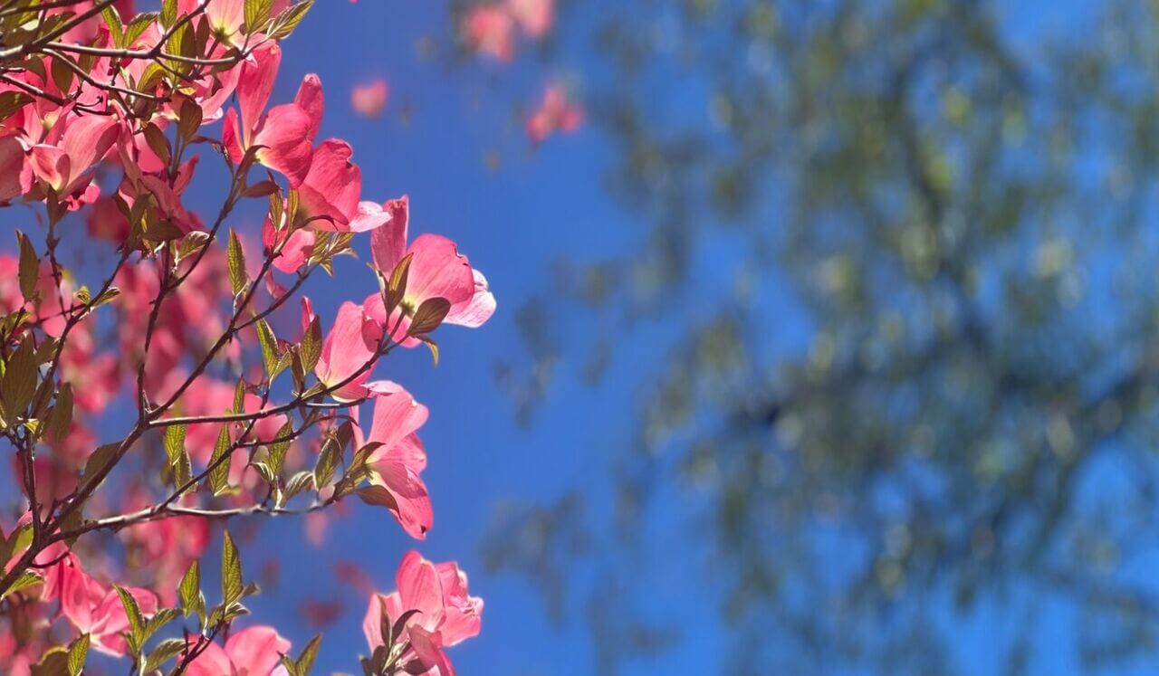 Body Scan On Hypertonic Pelvic Floor