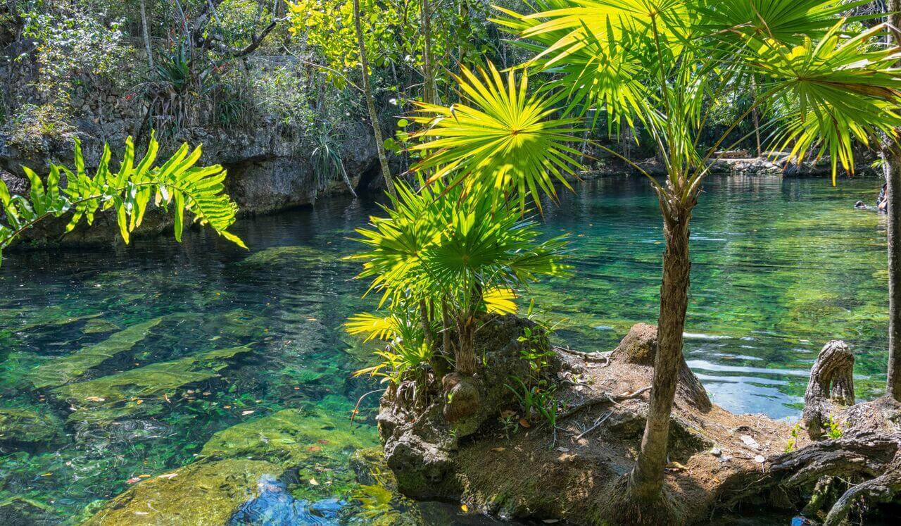 Se Ressourcer Dans Son Lieu Sûr