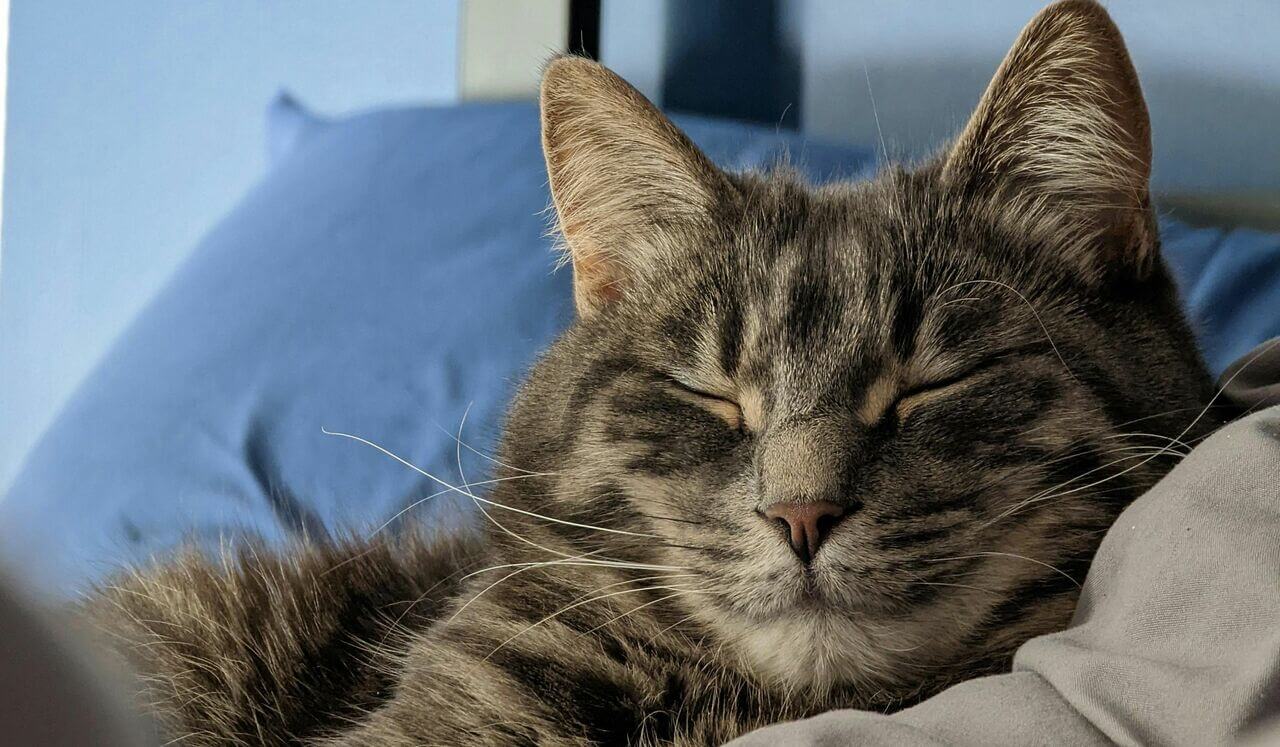 Deep Sleep Yoga Nidra