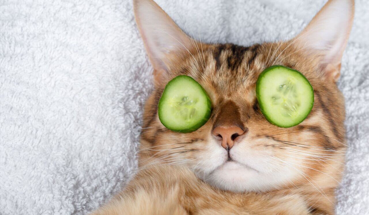 It’s Okay To Rest Here