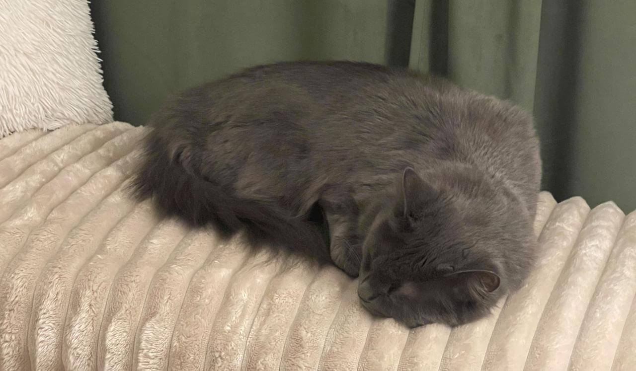 I Will Give You Rest Christian Sleep Meditation