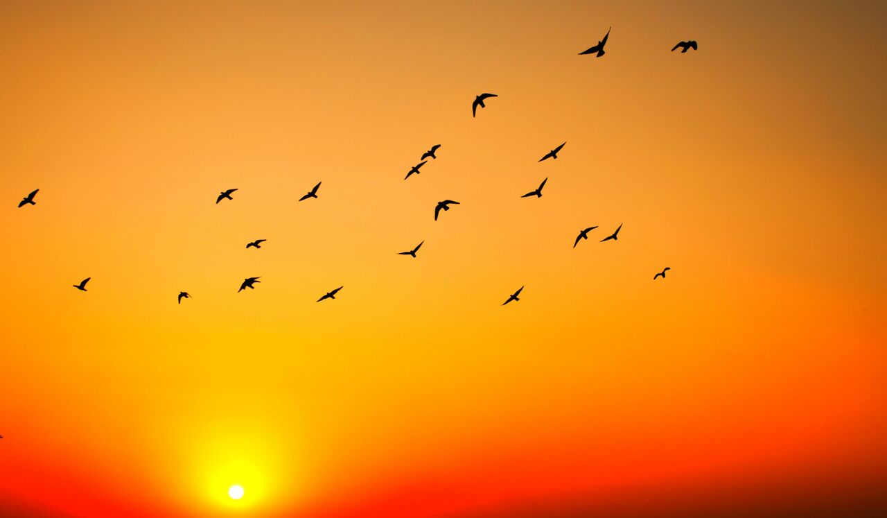 The No. 1 Secret To Real Success