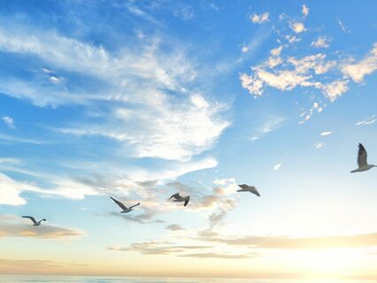 Light Language Initiation For Beginners - by Mouna