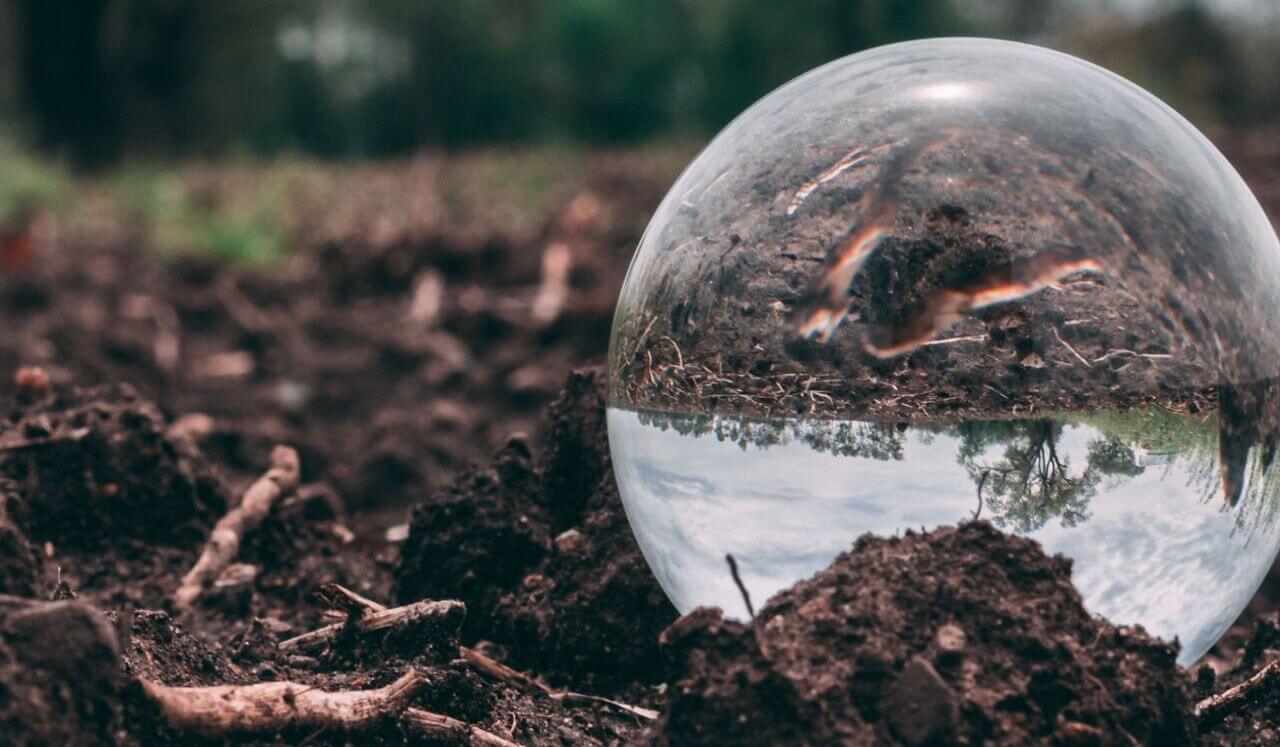 Release Trauma Signals - Terror