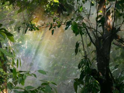 Ankommen im Jetzt – 5 Minuten Stille für Zwischendurch