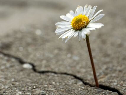 Intuitive Guidance For Self Healing - by Zachary Phillips