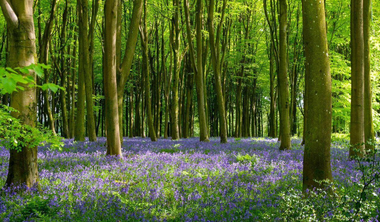 Soothing Exercise For Reframing Difficult Experiences