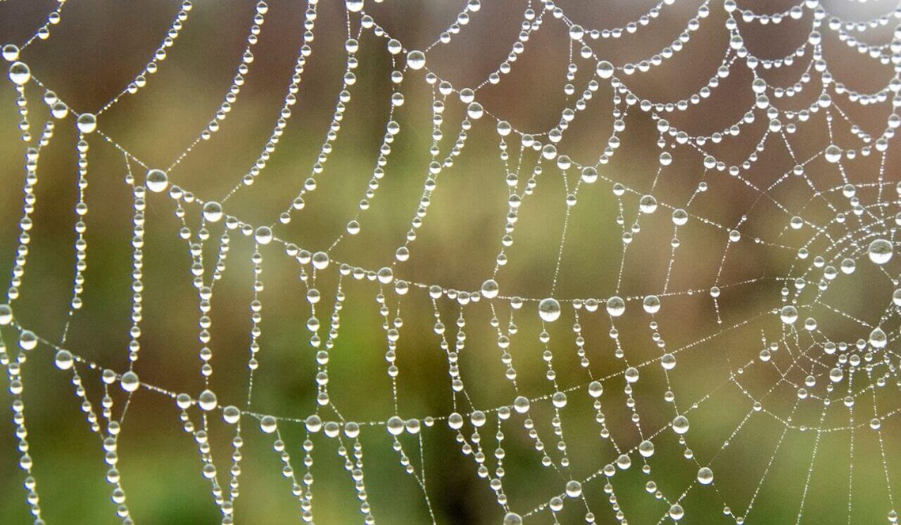 Vibration Meditation: Reconnect With Your Soul’s Frequency