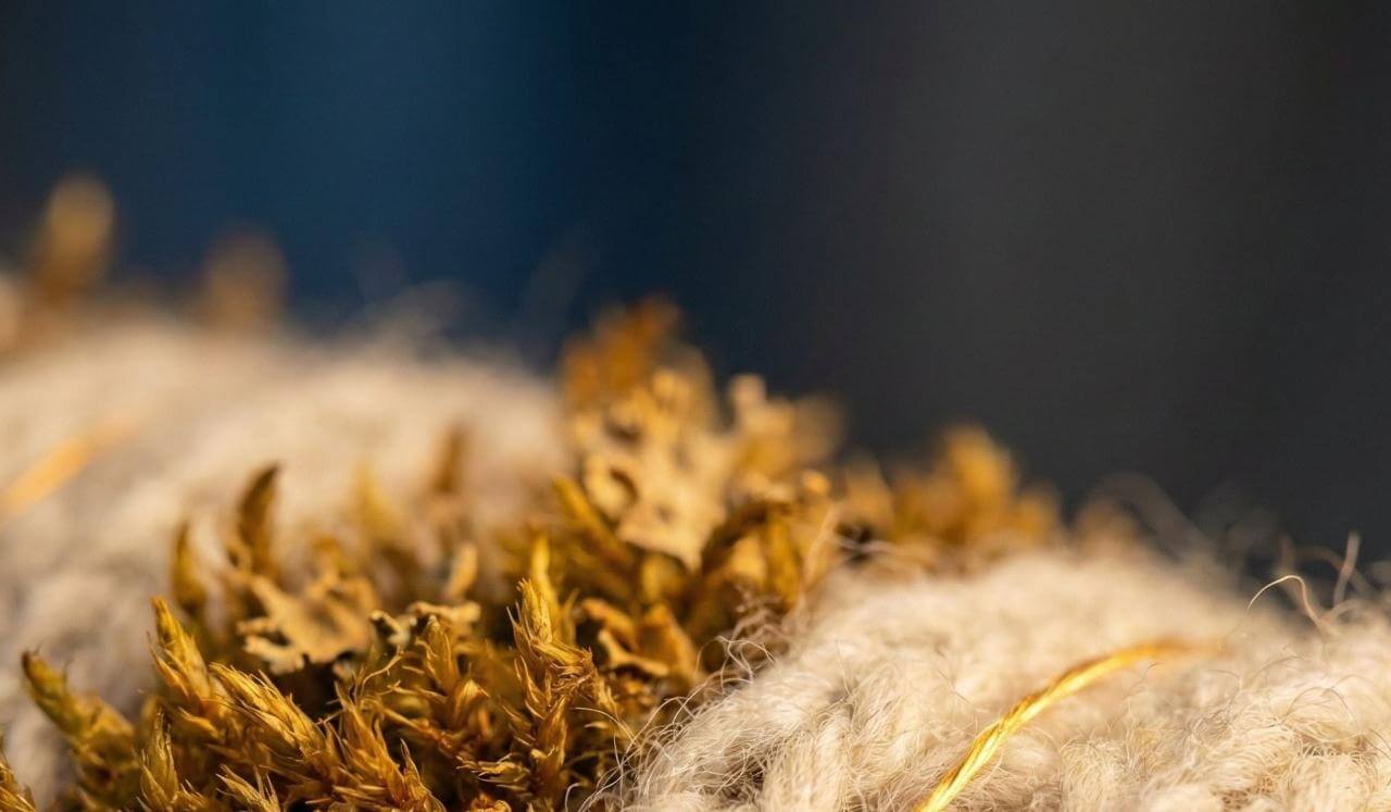 Celebrating The Wandering Mind: Neuro-Affirming Practice