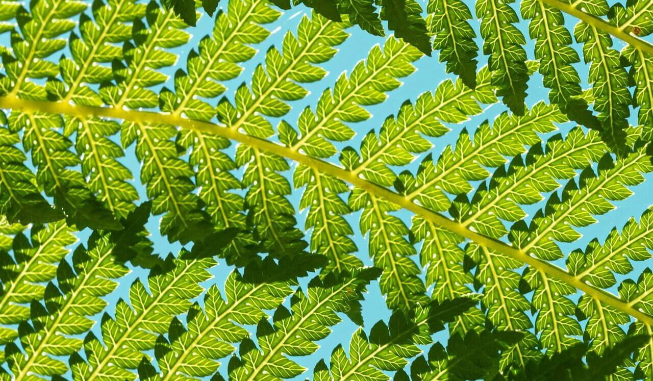 Become Totally Fine Now