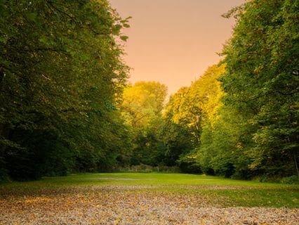 Emotional Regulation For Relationships - by Meditaai | Camila & Pedro