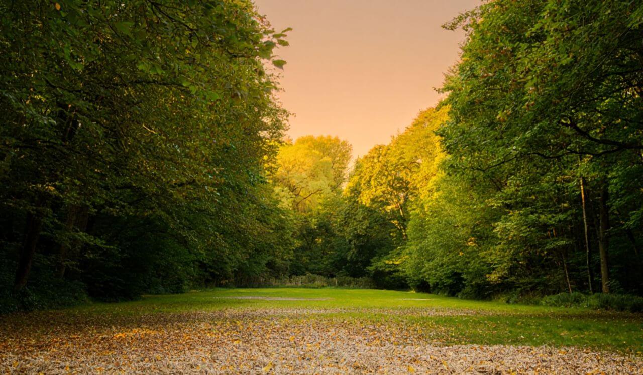 Emotional Regulation For Relationships