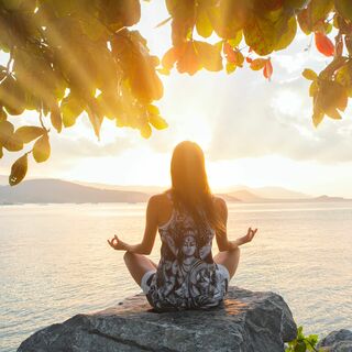 Higher Light Decree: Upgrading The Crown Chakra | Steve Nobel