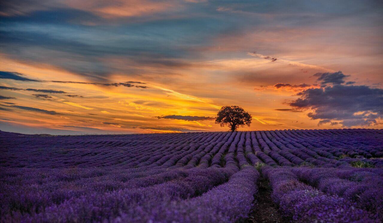 Pausa De Calma Y Relajación