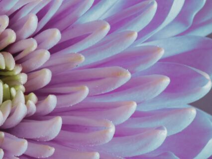 Migraine Healing Meditation