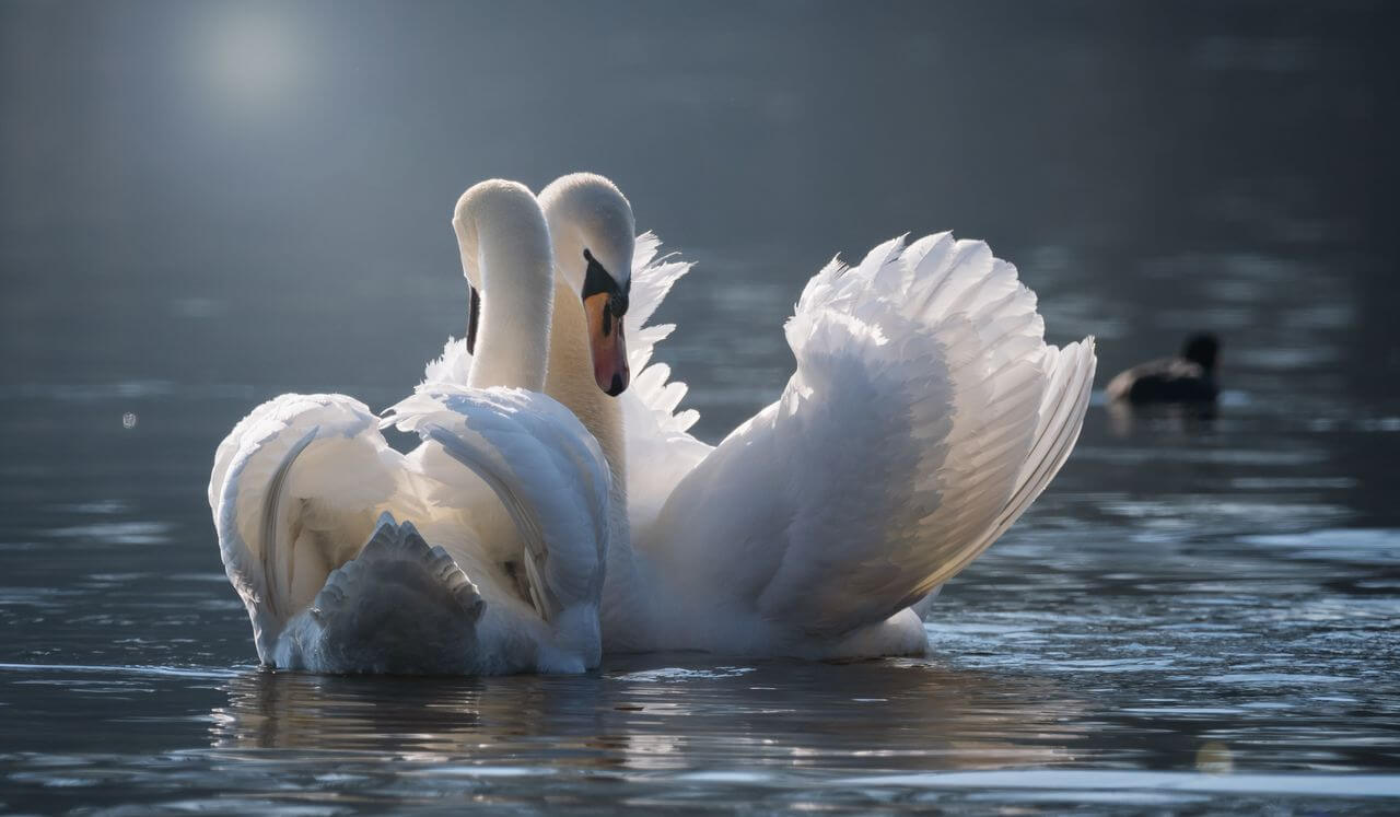 Meditation For Finding Good Love