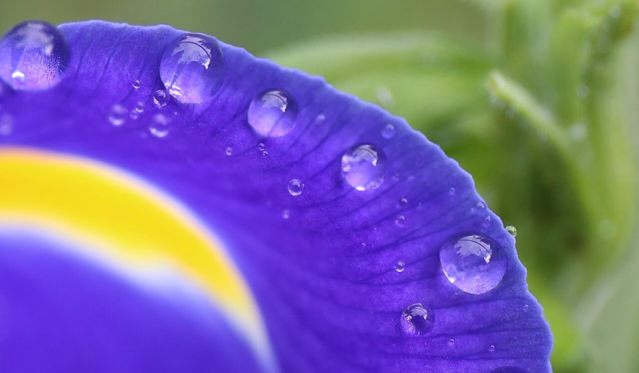 Yoga Nidra Pranic Healing