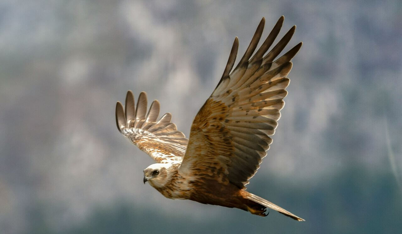 Ignite Your Momentum