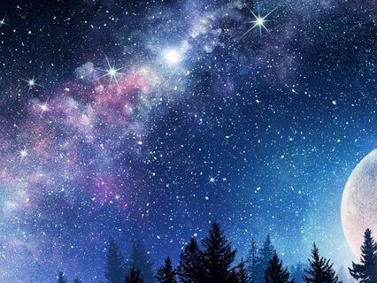 Lunar Rhythms: Cultivating A Life You Love - by Debra Wilson Guttas