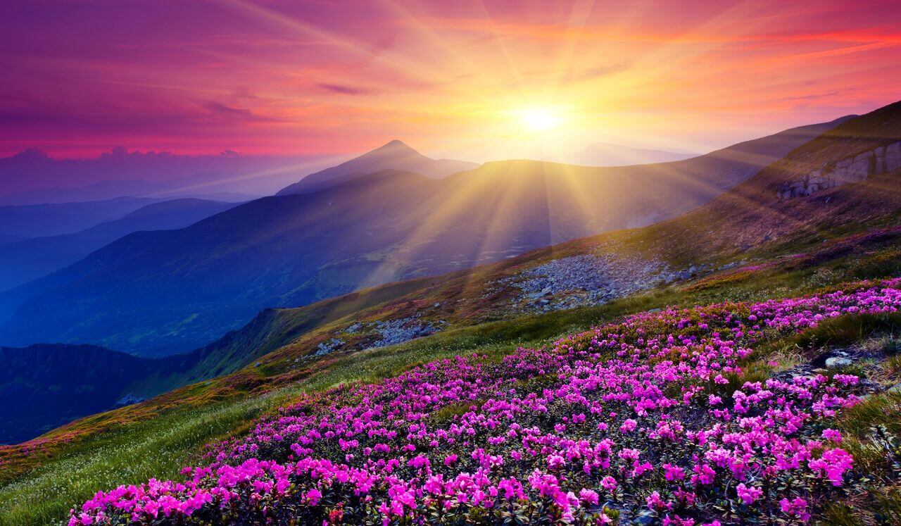 Sound Healing & Om Mantra: Deep Sleep & Rest Healing