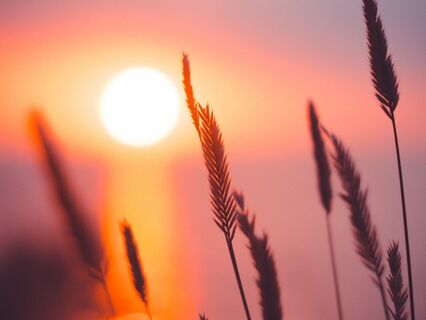 Learn How To Practice Yoga Nidra - by Molly Black