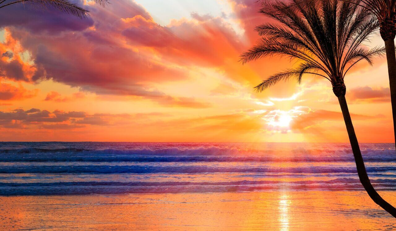 Manifestation Mastery: Your New Life Starts Here