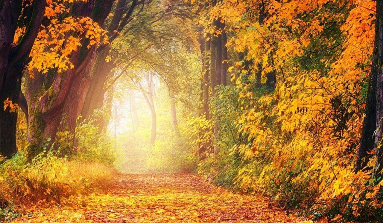 A Psalm Of Gentle Holding