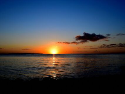 Manifesting: The Co-Creator's Guide - by Alice Langholt