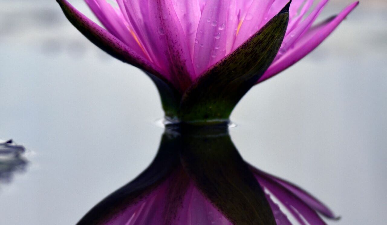 Tai Chi Music To Reach for Inner Peace.