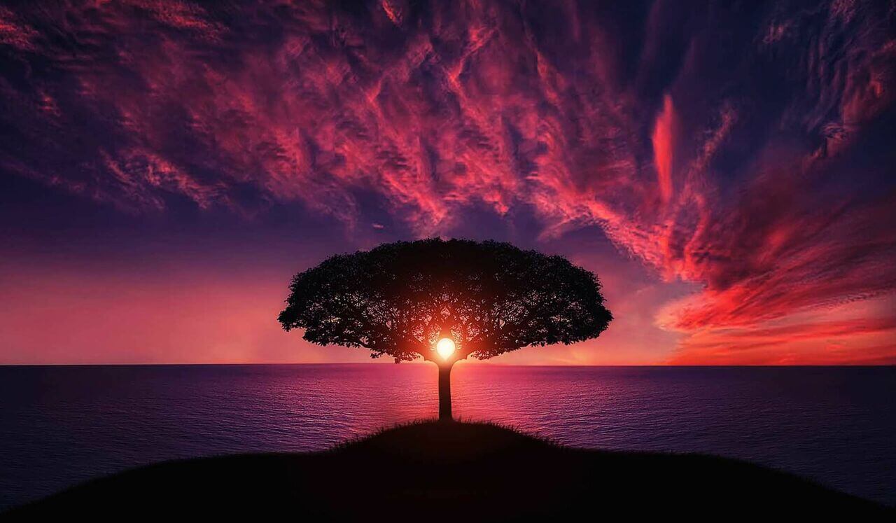 Discover Your Divine Purpose