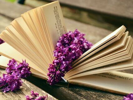 Stories To Reflect - by Esther Rojas Merino