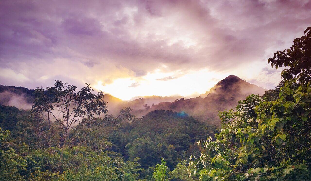 Embracing Your Sensitivities