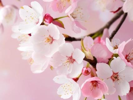 Turning Self-Sabotage Into Self-Improvement With TCM - by Helen Hansen