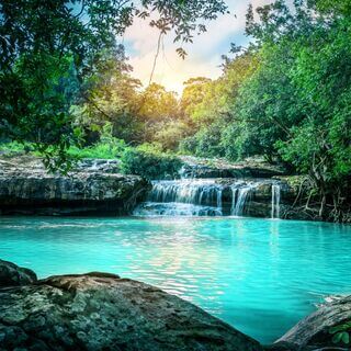 Harnessing 369 333 666 Hz 999 Hz Tuning Forks Alpha Kara Sherman