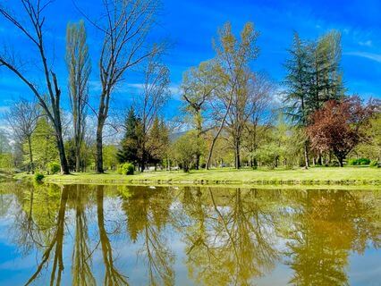 心念处：自尊、自信、自重、自爱（有背景音乐）