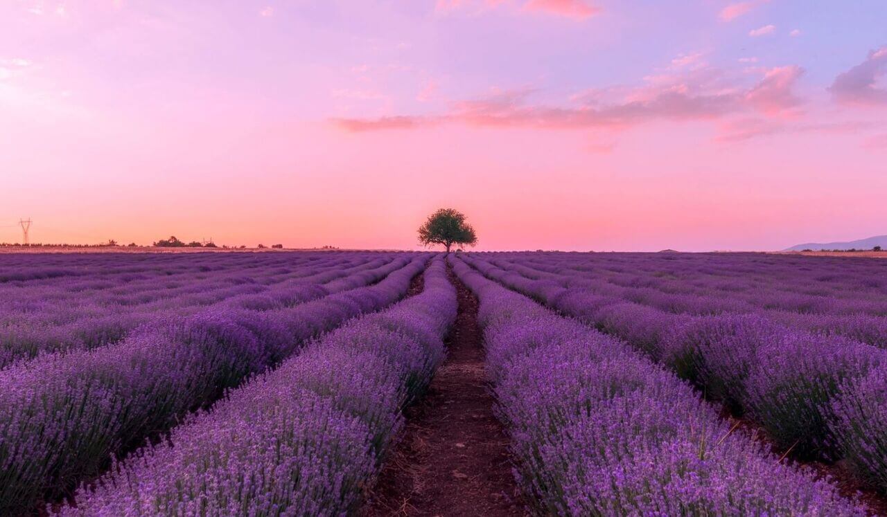 Descansa, el universo te sostiene